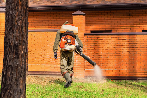 Trusted Rodent Control service in Woodway, TX - Nex Pest Control